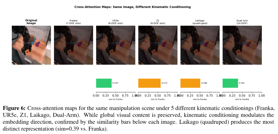 CrossViT Cross-Attention Maps