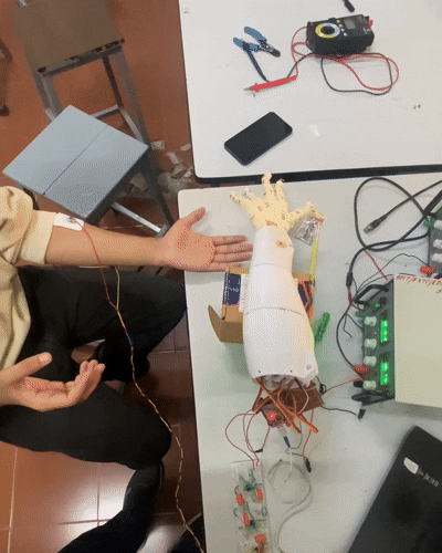 EMG Prosthetic Arm Demo